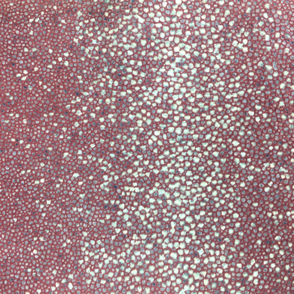 Shagreen Stingray on Burgundy Pig Split