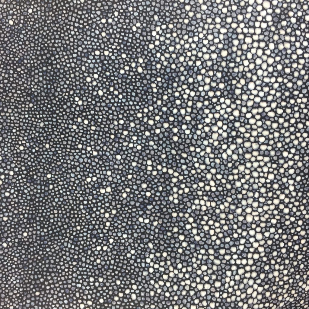 Shagreen Stingray on Black Pig Split