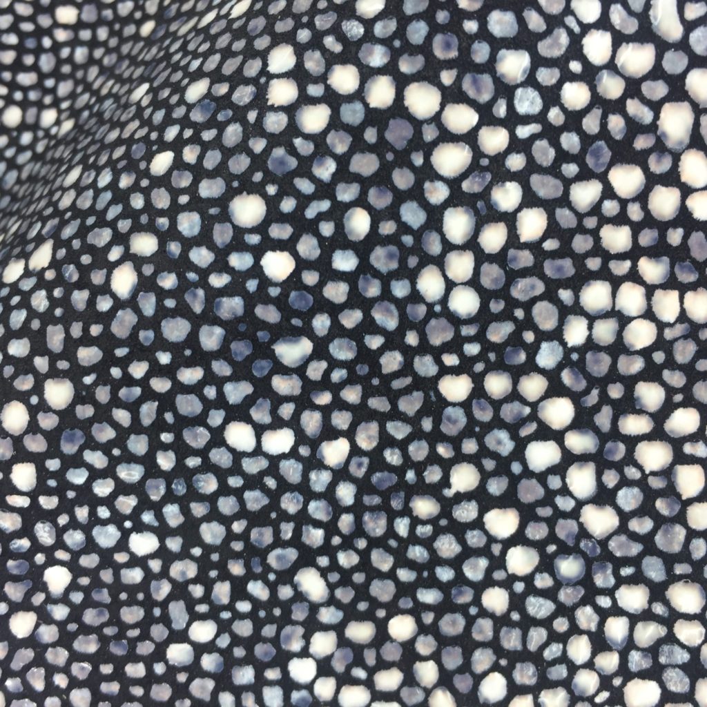 Shagreen Stingray on Black Pig Split