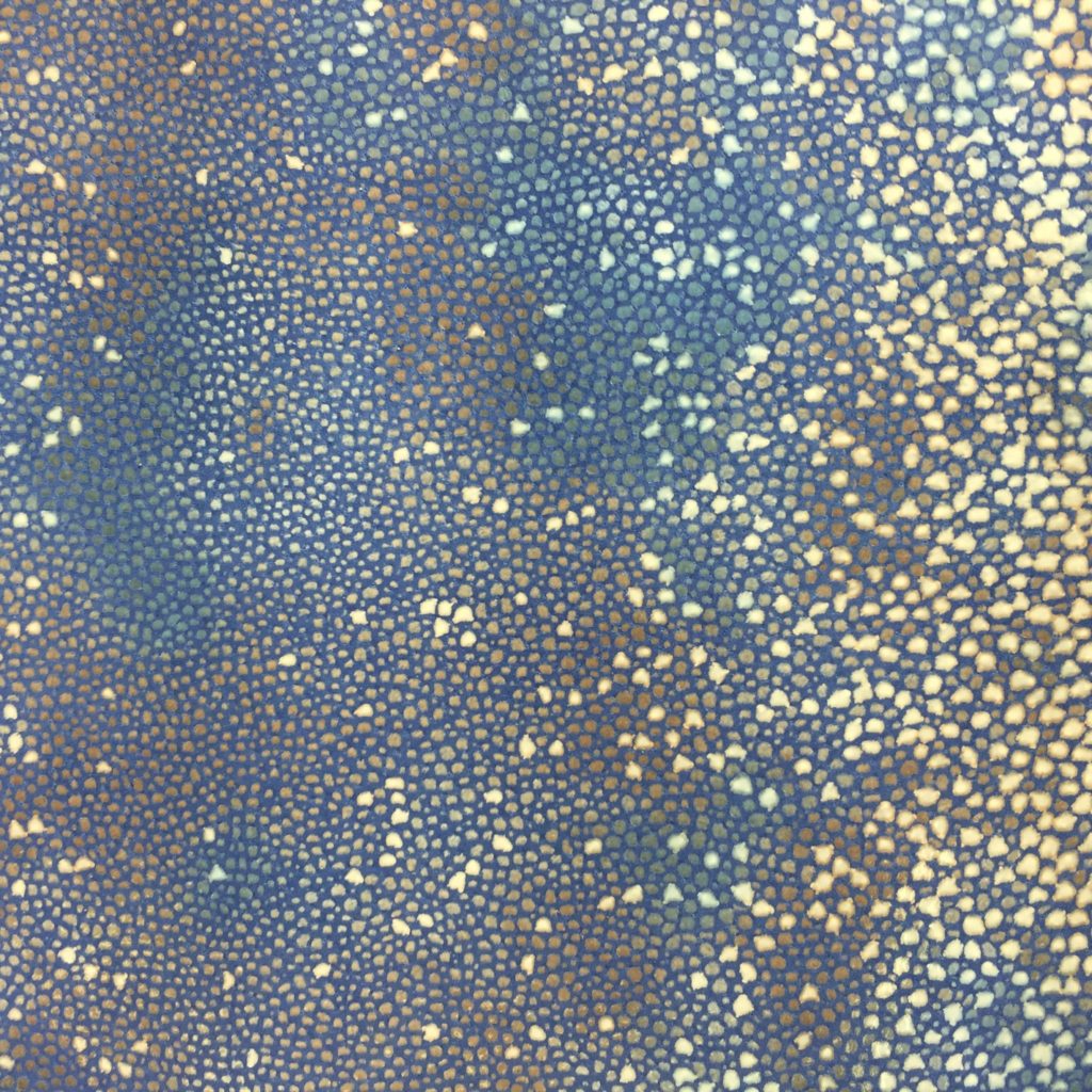 Shagreen Stingray on Cobalt Pig Split