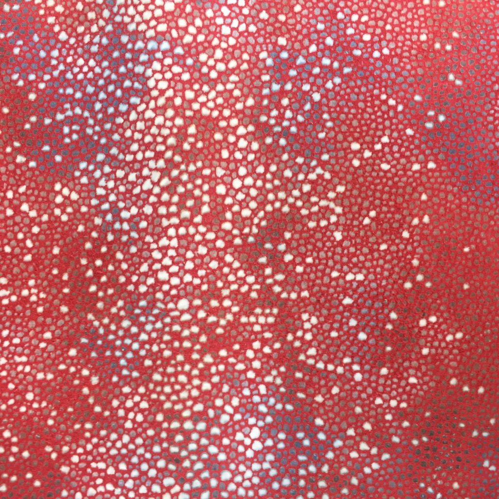 Shagreen Stingray on Red Pig Split