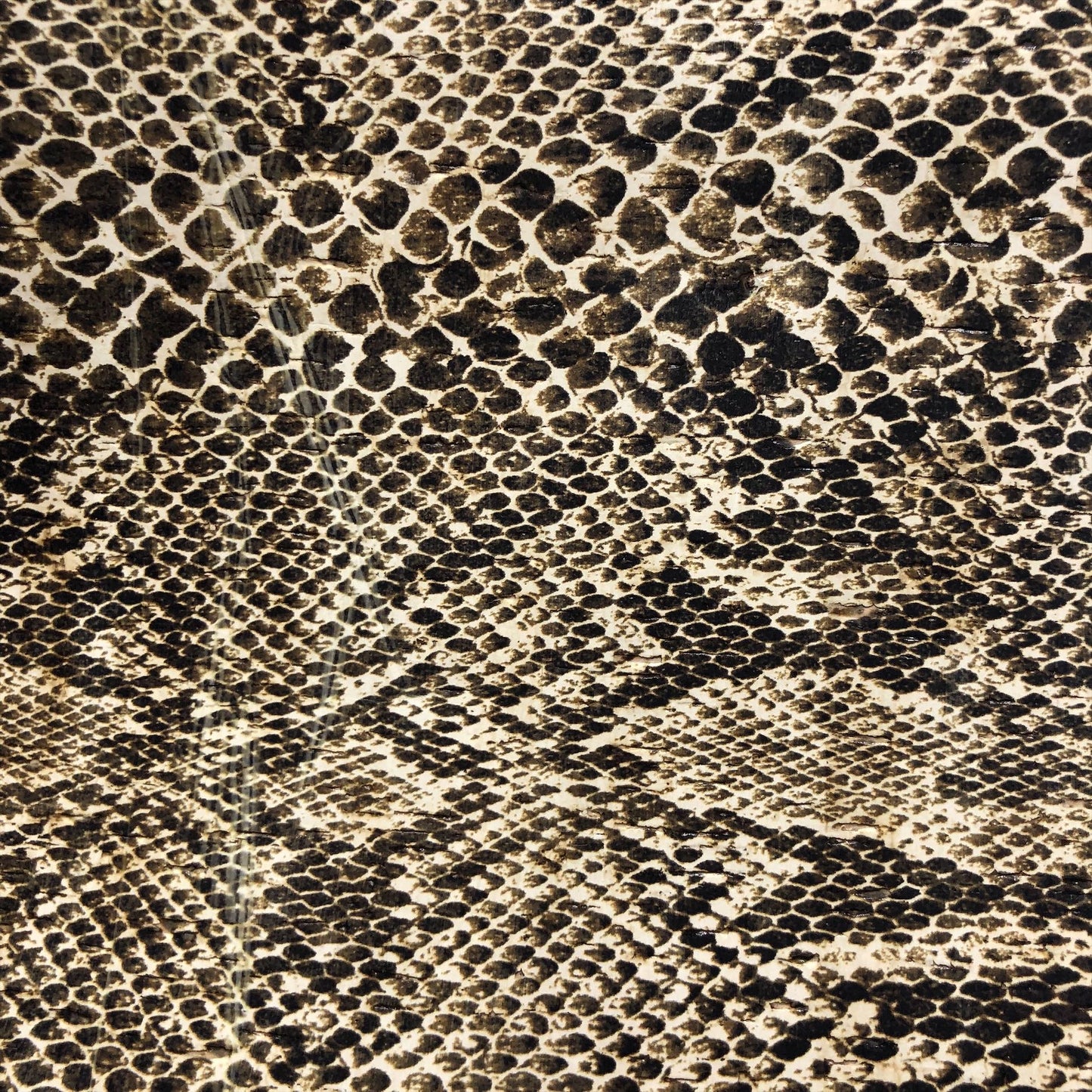 Allover Boa on White Cork